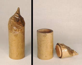 Small Box Made From a Beaver-Chewed Log