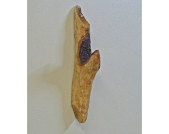 Small Coat Hook Made From a Beaver-Chewed Stick