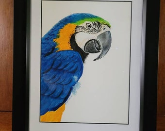Azul McCaw Original