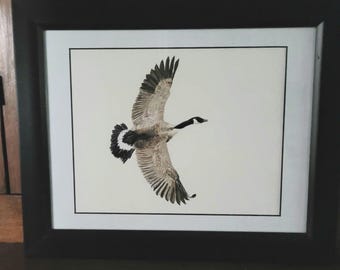 Canada Goose Original