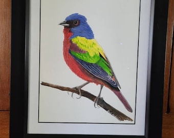 Painted Bunting Original