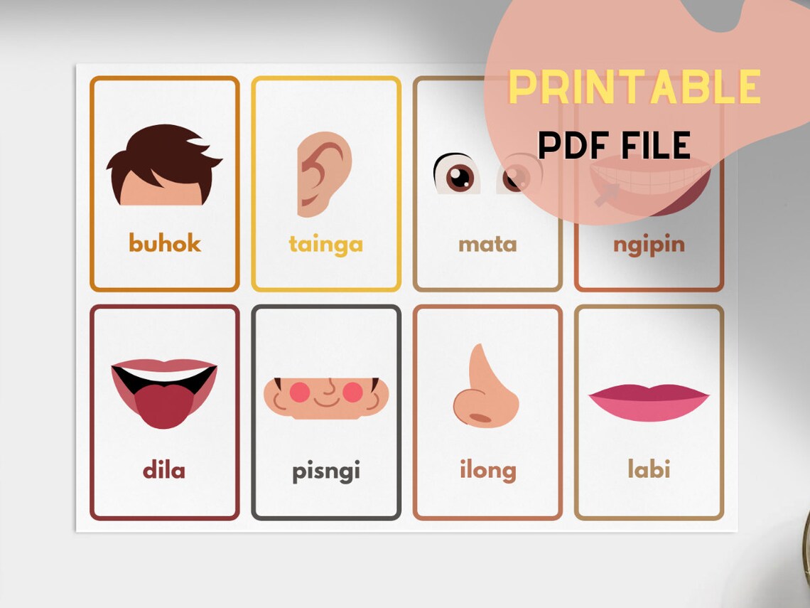Tagalog Flashcards Body Parts digital Print Etsy