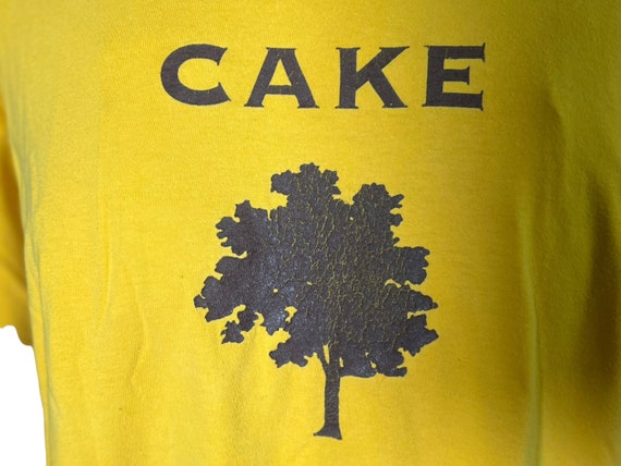 Cake View 2