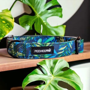 LEAVES Collar para Perros Impermeable y Ajustable
