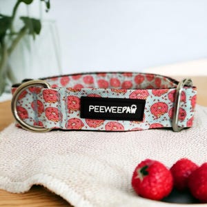 Waterproof and adjustable dog colla PAW&#39;NUTS