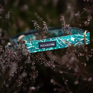 Waterproof and adjustable dog collar SANSAW