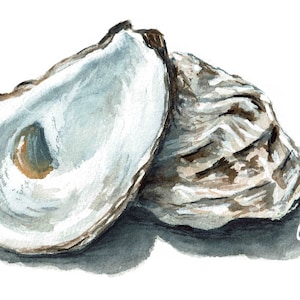 Oyster shells Watercolor Art Print DIGITAL