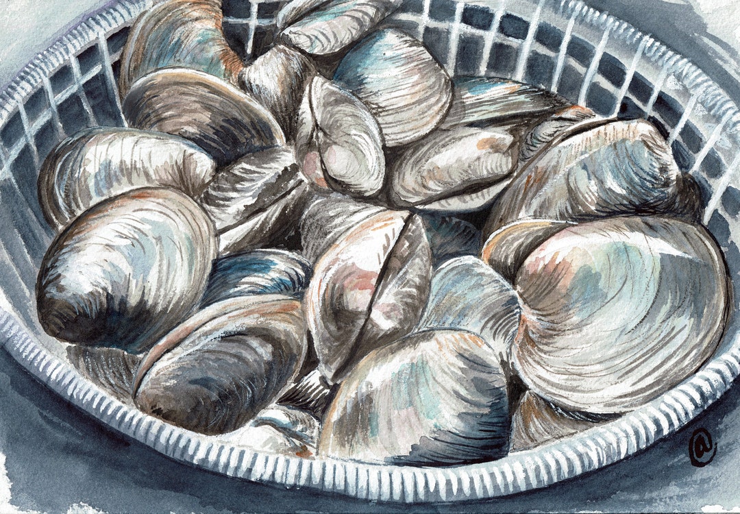Bushel of Clams Watercolor Art Print, Known as Quahogs in Rhode Island