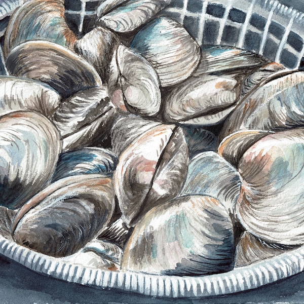 Bushel of clams Watercolor Art Print, Known as Quahogs in Rhode Island  Digging for Dinner!