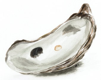 Oyster Shell Watercolor Art Print