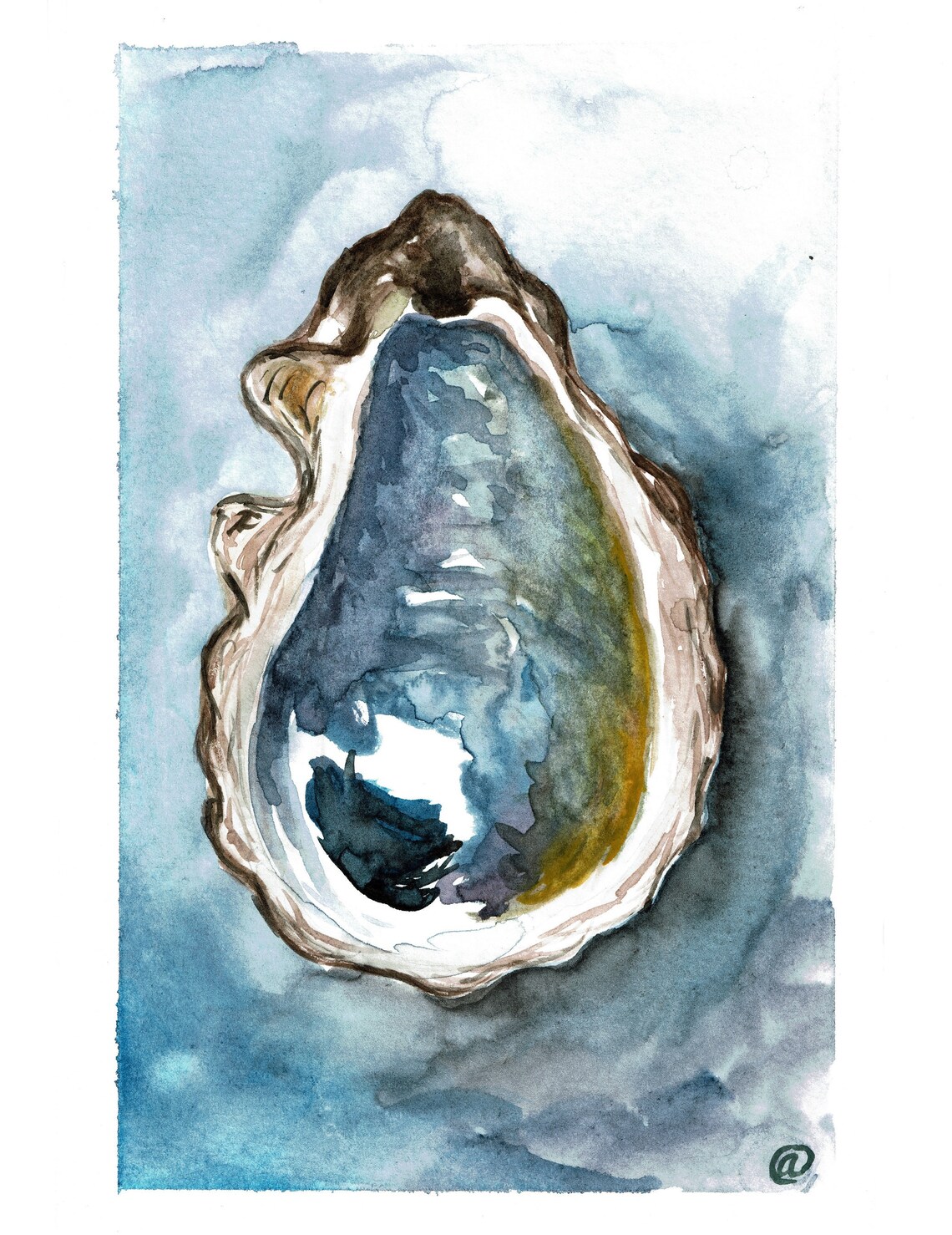 Bold Oyster watercolor art print | Etsy