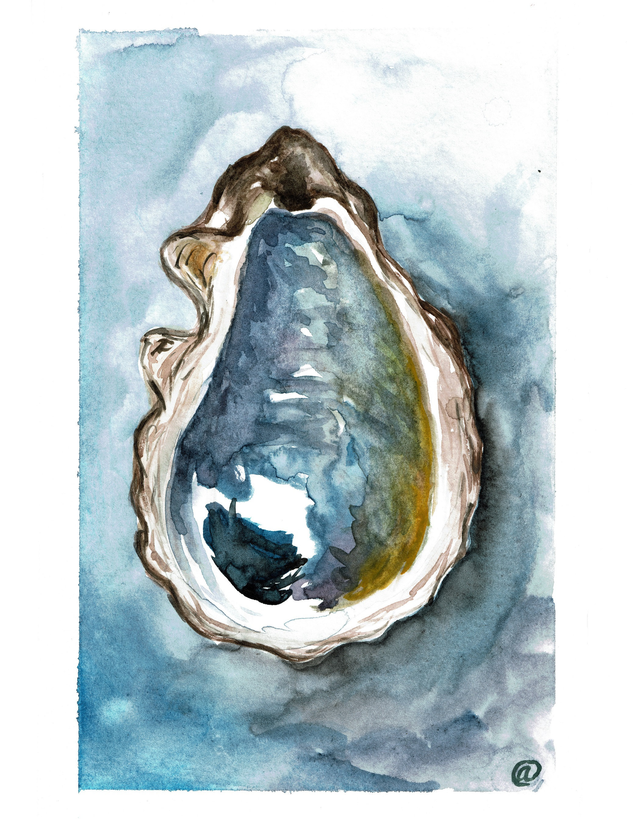 Bold Oyster watercolor art print | Etsy