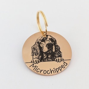 Placa de identificación para Cocker Spaniel con microchip, identificación de mascota, placa con nombre, acero inoxidable grabado, placa con vista frontal, especificaciones del Reino Unido