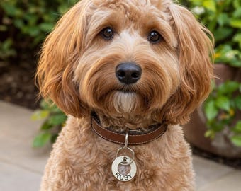 Engraved Solid Brass Pet ID Tag, Custom Dog Cat Tag, 30mm
