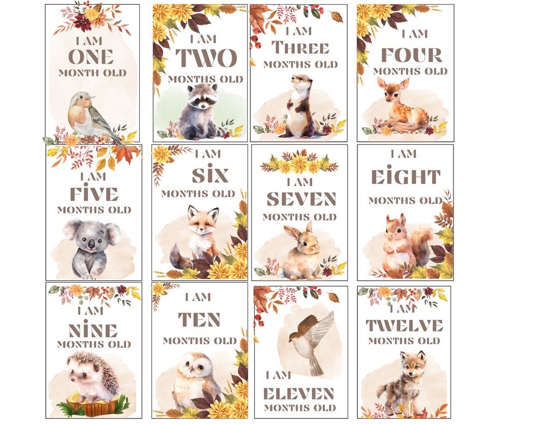 Baby Milestone Cards Forest Woodland Animals Gender Neutral - Etsy