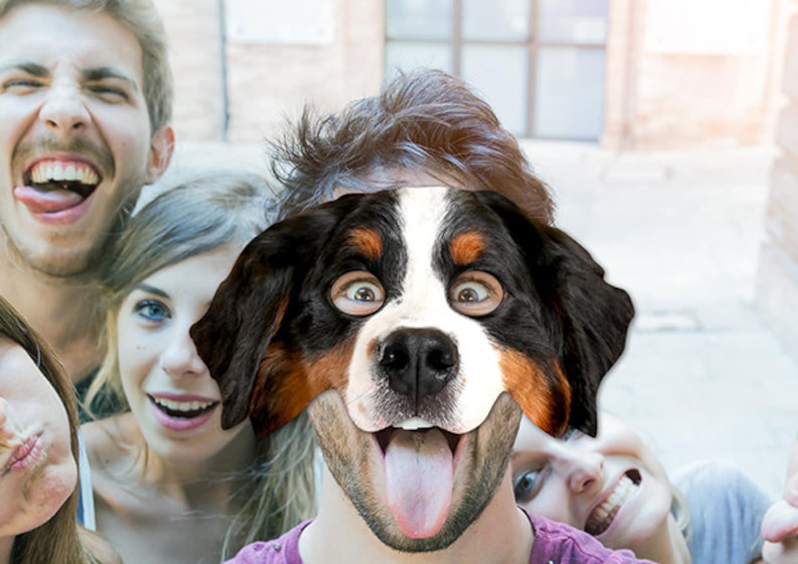 Bernese Mountain Dog Printable Mask, Dog, Photoreal Dog Mask