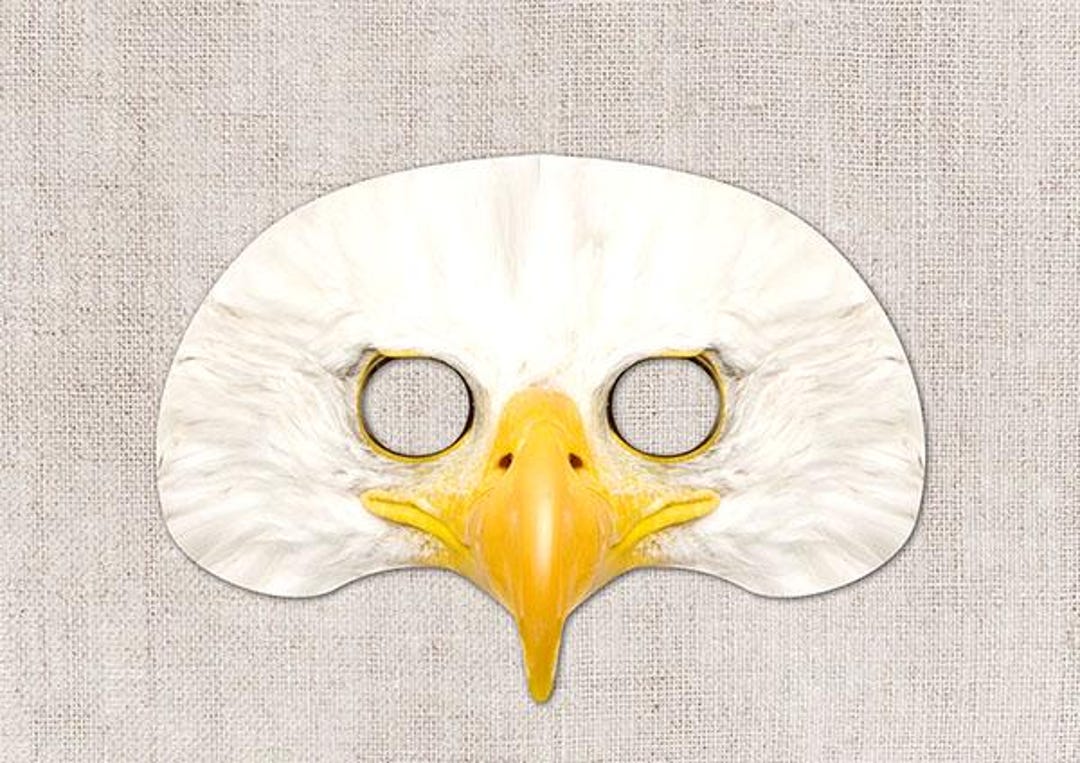 Bald Eagle Printable Mask, Photo-real Eagle Mask, Printable Halloween Mask,  Printable Mask, Eagle Costume, Animal Mask, 2 Sizes, Zoom Prop - Etsy, image size:1080x763