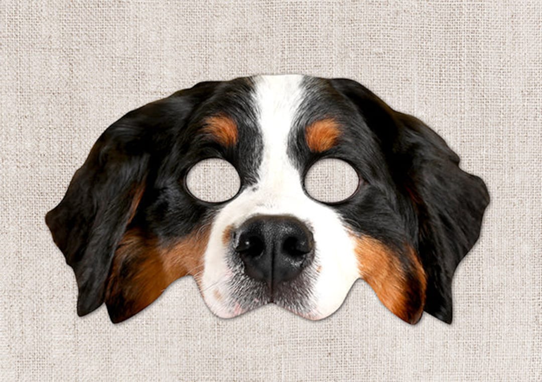 バーニーズ マウンテン ドッグ プリント可能マスク、犬、写真のような