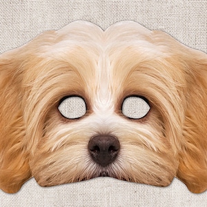 Havanese Printable Mask, Dog, Havanese, Photo-Real Dog Mask, Halloween Mask, Printable Mask, Havanese Dog Costume, 2 Sizes, Small Dog
