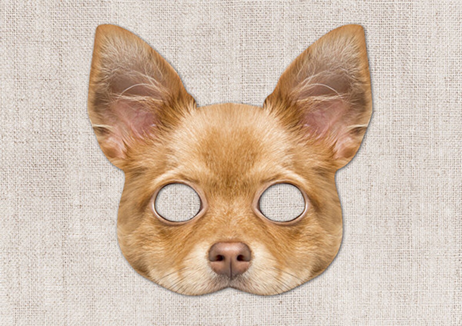 Chihuahua Printable Mask Dog Chihuahua Photo Real Dog Mask Etsy Chihuahua Printable Mask Dog Chihuahua Photo Real Dog Mask Etsy