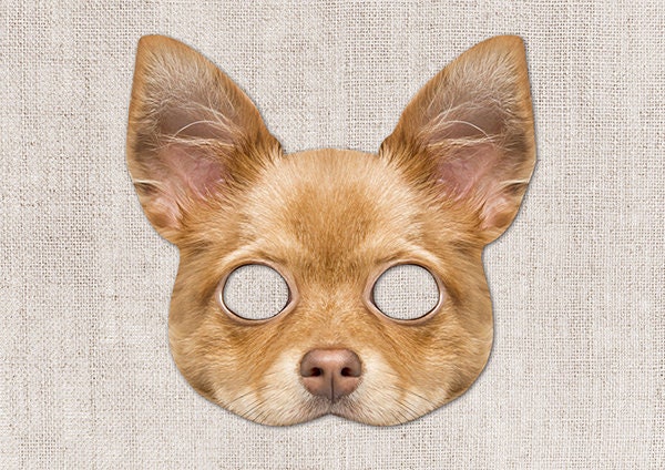 Chihuahua hot dog costume hot sale