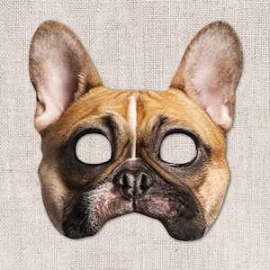 May include: A brown and white French bulldog face mask with black eyes and a black nose. The mask has cutouts for the eyes.