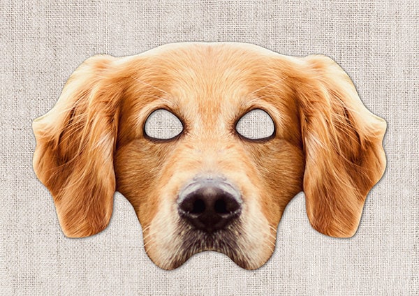 Golden Retriever Face Cover Golden Retriever Face Cover