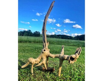 29 Driftwood Driftwood Art Sculpture Driftwood Wall Etsy