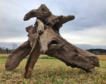 large driftwood etsy