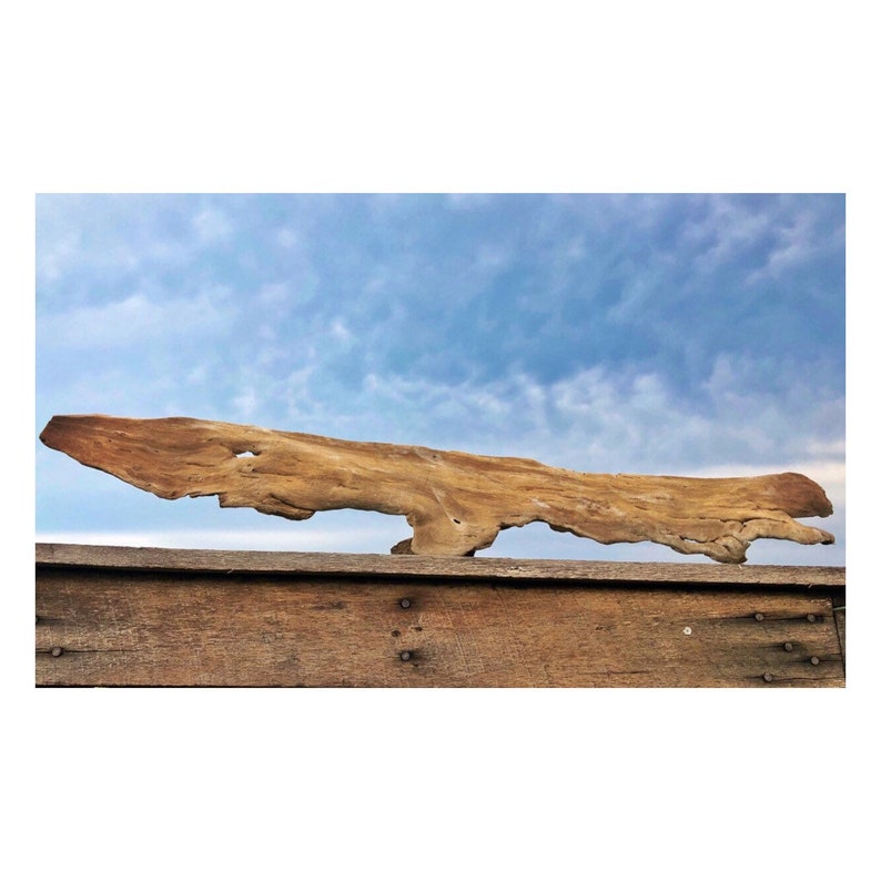 32 5 2 1 2 Feet Driftwood Flat Textured Driftwood Etsy