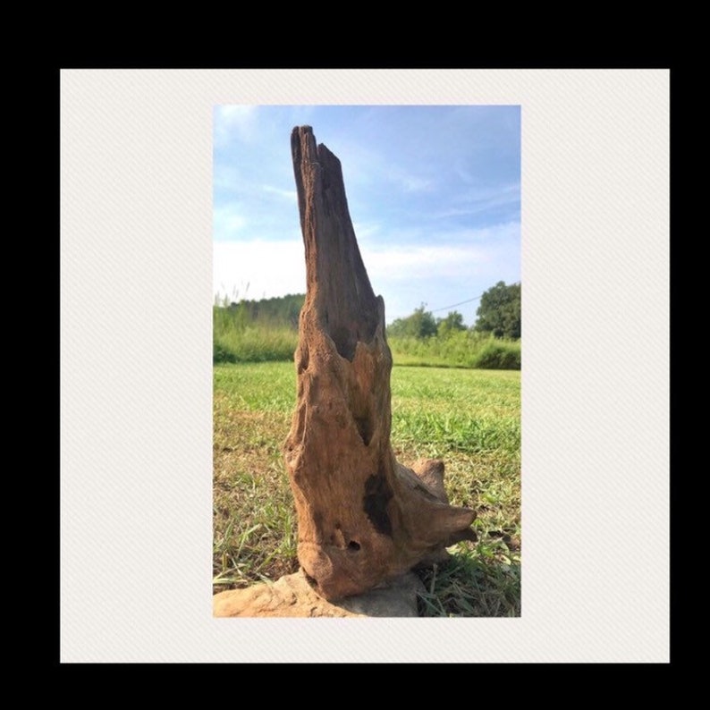 Driftwood Home Decor 20 Length Driftwood Planter Wall Etsy