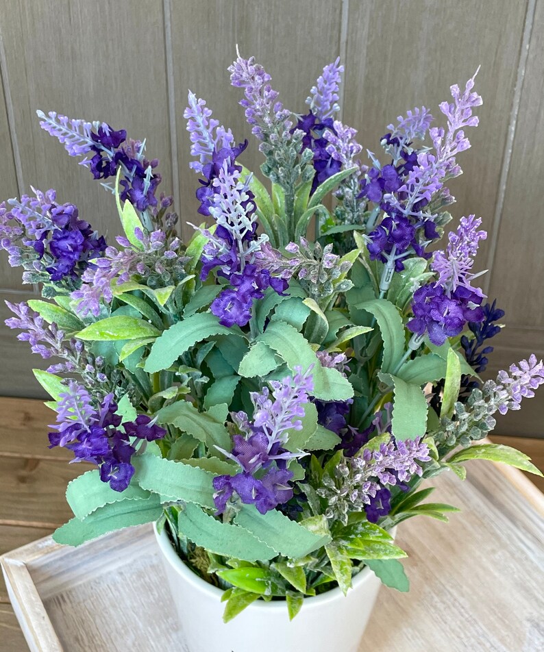May include: A white ceramic pot filled with a lush arrangement of purple lavender flowers. The flowers are in full bloom and have a delicate, fragrant scent.