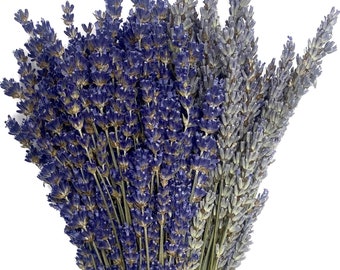 Mixed Lavender Bundle (1/2 English 1/2 French Bundle)