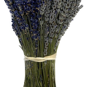 Dried Grosso French and Royal Velvet English Lavender Bundles 2023 Crop and more 1/2Folgate 1/2Grosso