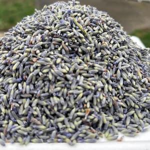 Lavender Flowers Dried Buds - Whole Flowers -  (Grosso) - French Variety- Bulk
