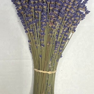 Dried Grosso French and Royal Velvet English Lavender Bundles 2023 Crop and more English Lavender