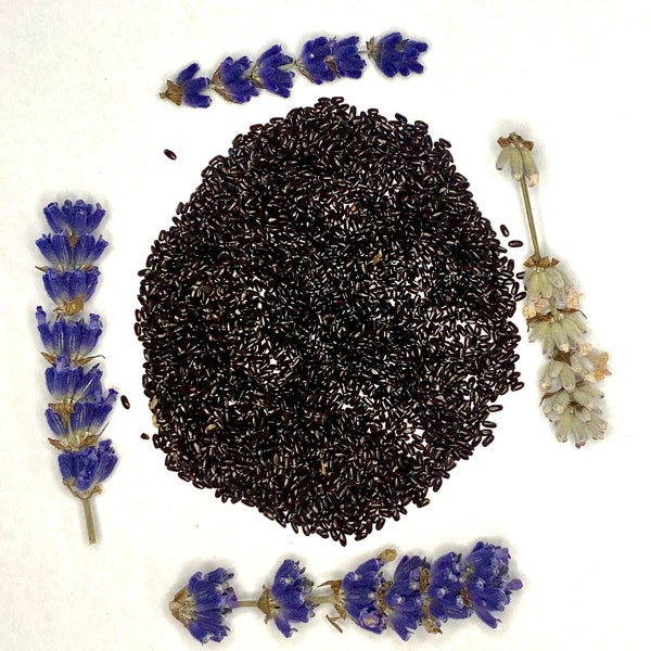 Folgate, Royal Velvet, and Melissa  Lavender Seeds