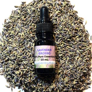 May include: A black glass bottle of Lavender Grosso 100% Pure Essential Oil, 10 ml, with a dropper, sits on a bed of dried lavender buds. The label includes the email address: elslavender@outlook.com.