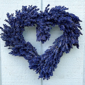 Dried Grosso French and Royal Velvet English Lavender Bundles 2023 Crop and more Heart Wreath