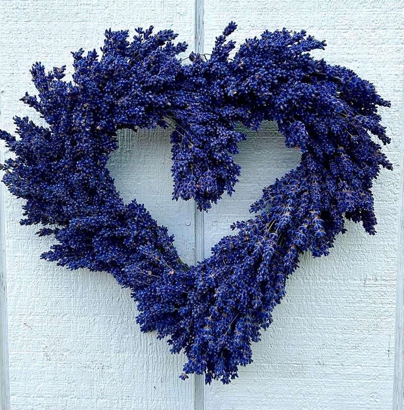 Dried Grosso French and Royal Velvet English Lavender Bundles 2023 Crop and more Heart Wreath