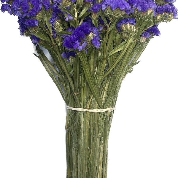 French Lavender (Grosso) and Statice Flowers (Sea Lavender)  Bundle (Purple, White, and Blue)