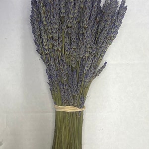 Dried Grosso French and Royal Velvet English Lavender Bundles 2023 Crop and more Short Grosso Bundles