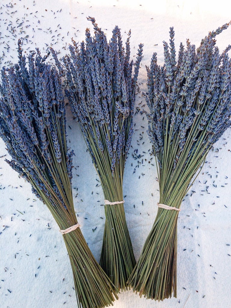 Dried Preserved Lavender Flowers Bundle-Natural Dried Lavender Bouquet  180-200 Stems 15''-17 for Wedding Home Shower Vase Decor, Aromatherapy
