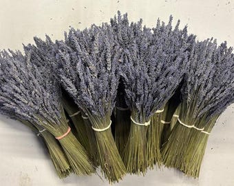 May include: Bundles of dried lavender with purple flower heads and green stems. The lavender is tied together with twine and rubber bands. Aromatic and decorative, perfect for home decor or crafts.