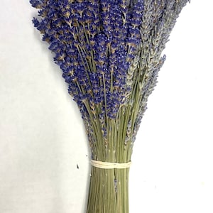 Dried Grosso French and Royal Velvet English Lavender Bundles 2023 Crop and more 1/2 Eng 1/2 Grosso