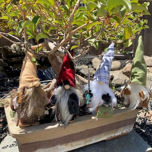 Tier Tray Outdoor Sportsmen Gnomes, Hunting Gnome, Archery Gnome, Fisherman Gnome, Hiker Gnome, Outdoor Theme Gnomes, Sportsmen Gnomes
