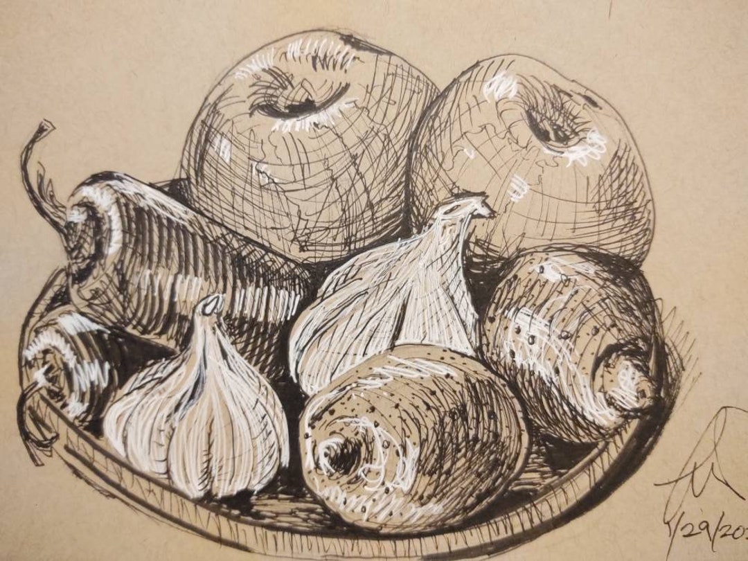 Still Life Pen and Ink Drawing Etsy Australia