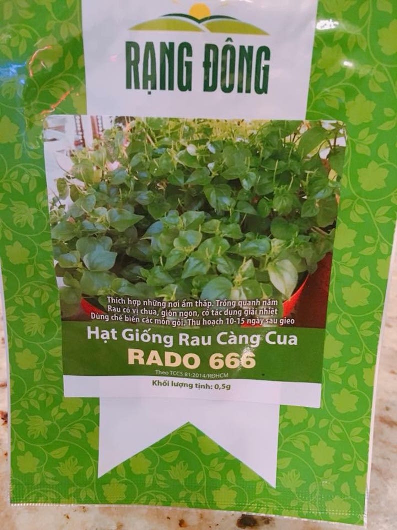 Rau cang cua khomer crab claw herb image 1