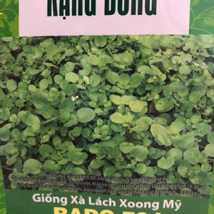 Könnte beinhalten: Eine Packung Wasserkresse-Samen RADO 704. Die Packung ist weiß mit grünem Text und einem Bild von Wasserkressepflanzen. Der Text auf der Packung lautet "RADO 704" und "Giống Xà Lách Xoong Mỹ". Die Packung enthält auch den Text "Theo TCCS 04:2015/RDHCM" und "Khối lượng tịnh: 1g".