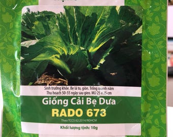 Cai be dua ,asian cabbage